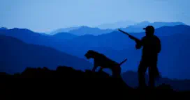 Hunting Website Content